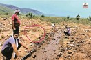 Rajasthan Forest Scam