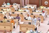 Rajasthan Assembly 75 Years