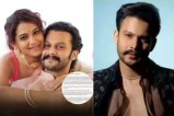 Ramayana Actor Adinath Kothare Divorce