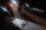 Road accident in Surguja
