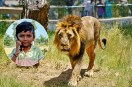 Saurashtra Lion Attack