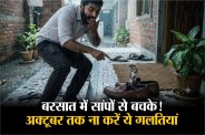 Snake Bite Prevention, When are snakes more active in india, When are snakes most active day or night,