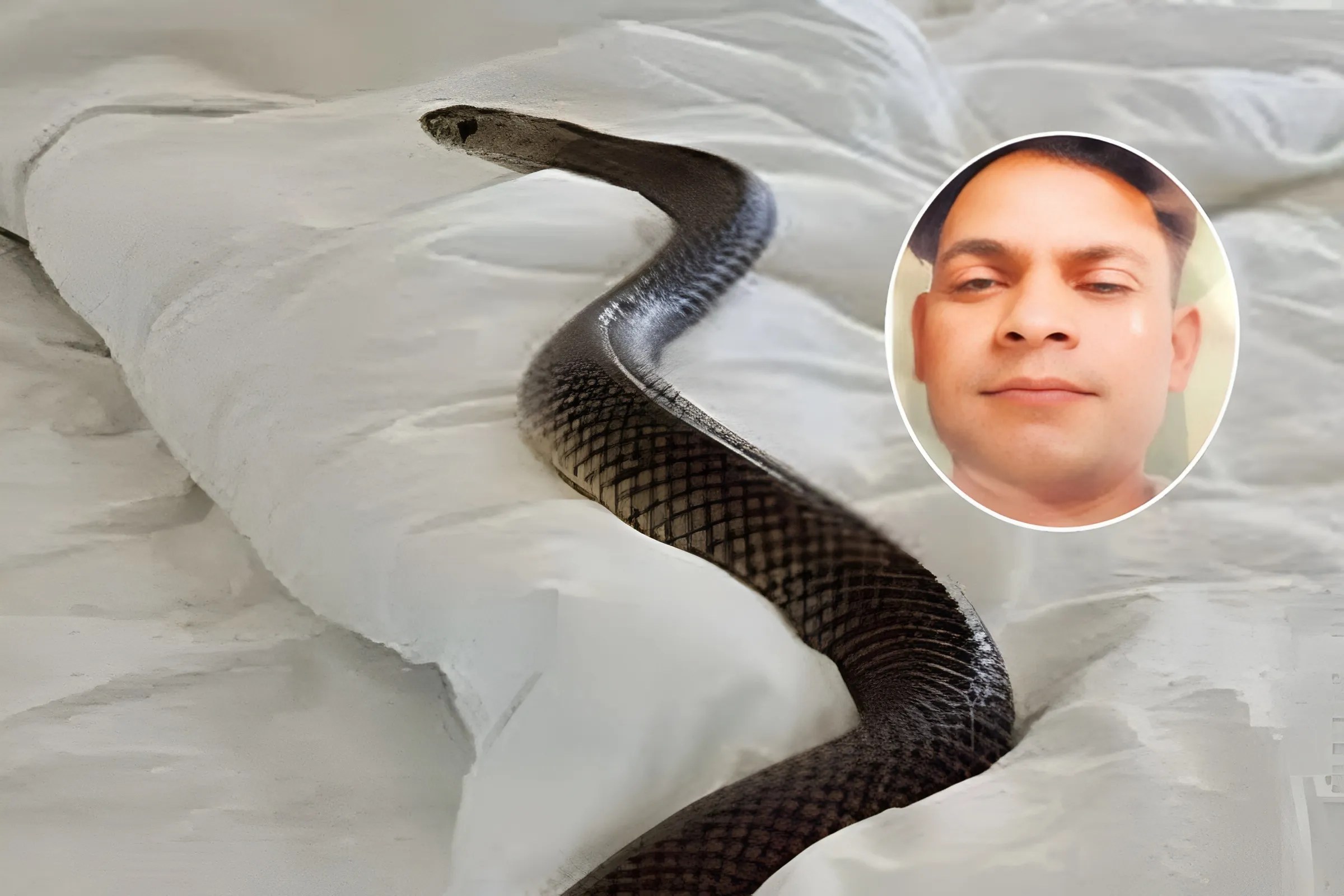 Snake Bite Death hot spot gwalior