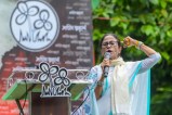 TMC crisis