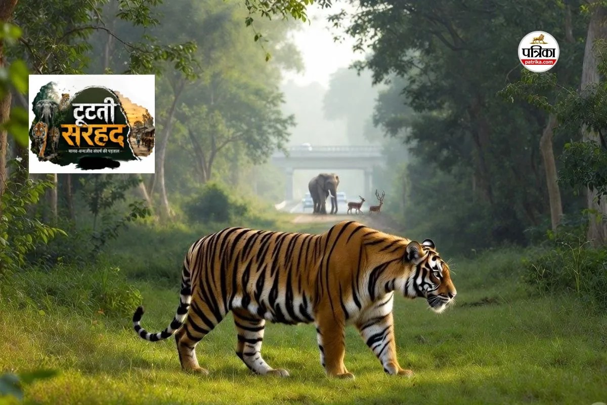 Top 10 Wildlife Corridor India