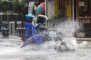 Typhoon Bavi Storm News.