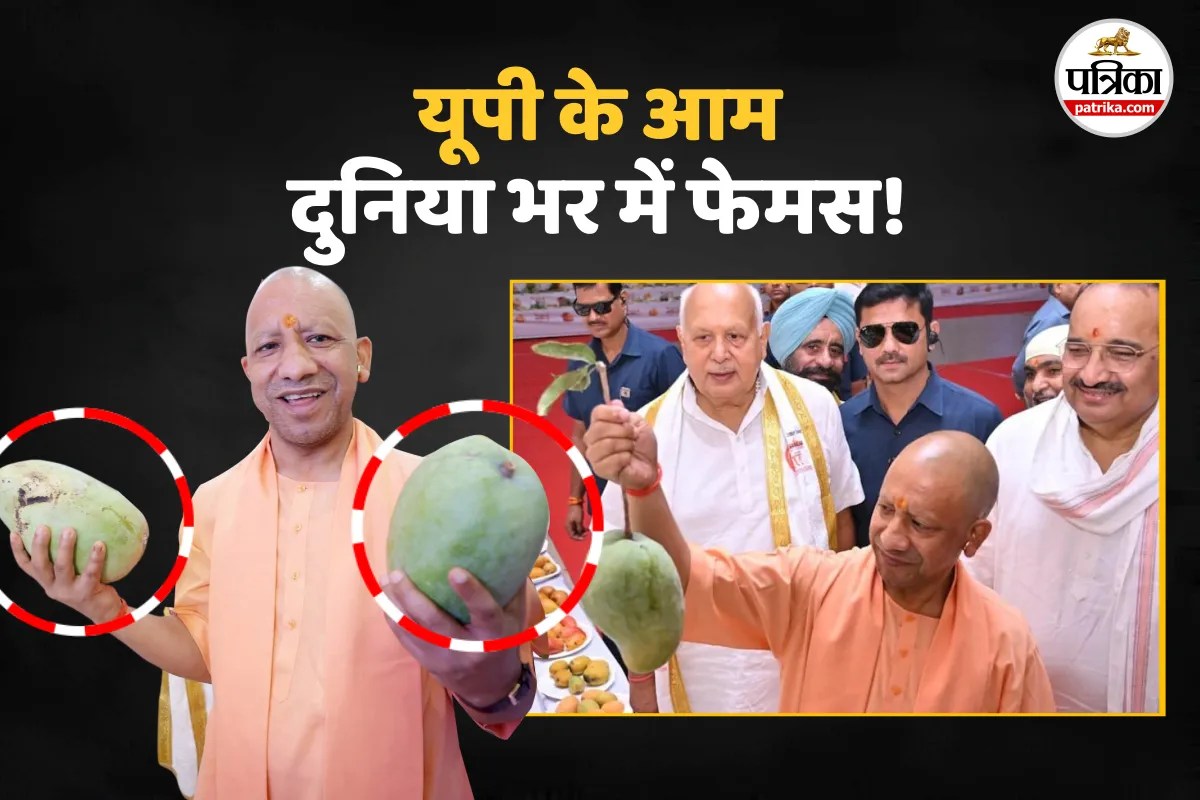 UP Mango Festival 2026, CM Yogi, Uttar Pradesh World Famous mangoes List,