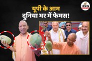 UP Mango Festival 2026, CM Yogi, Uttar Pradesh World Famous mangoes List,