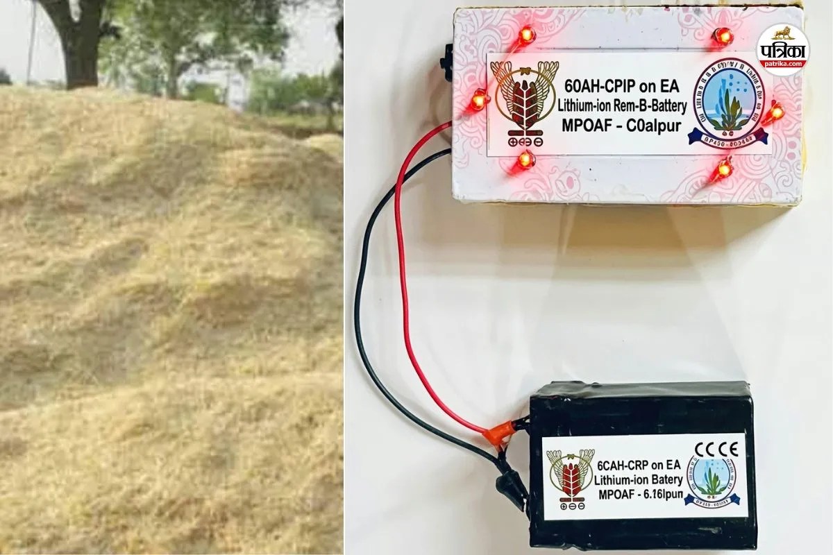 Rajasthan Udaipur MPUAT scientists Amazing work Now mobile and EV batteries run straw
