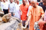 बंदर को भोजन करते मुख्यमंत्री, फोटो सोर्स- X श्री गोरखनाथ मंदिर