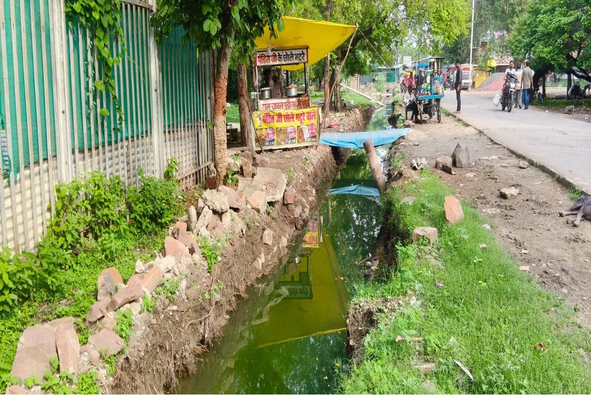 Negligence: Drain left open for a month; cattle frequently falling in; a major accident waiting to happen.