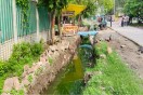 Negligence: Drain left open for a month; cattle frequently falling in; a major accident waiting to happen.