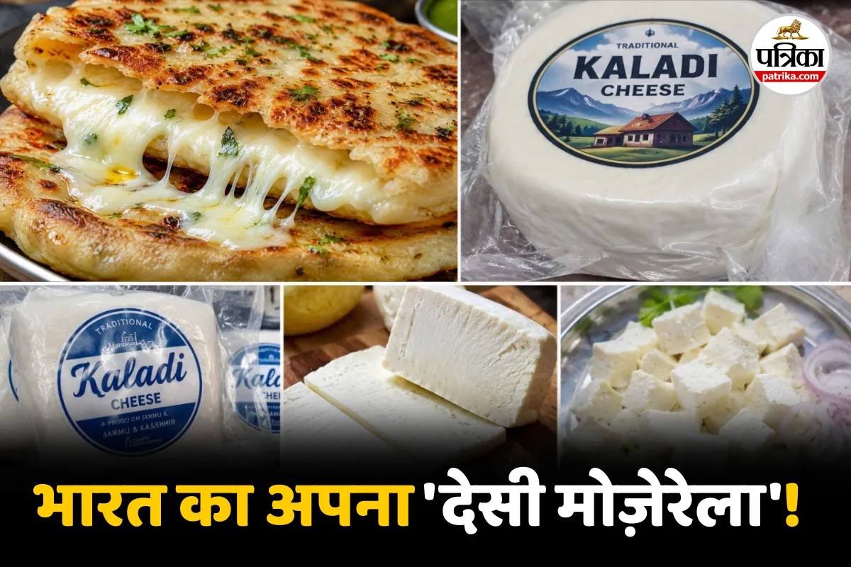 Mozerella Udhampur Kaladi Cheese GI Tag Desi Burger