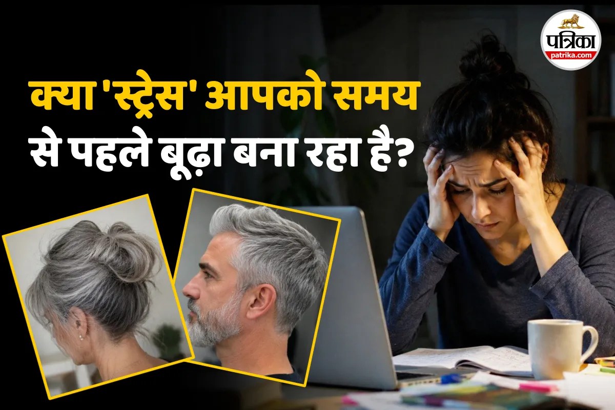 Stress Memory Loss Chronic stress Grey hair Sedentary Lifestyle