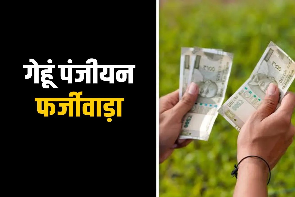 Wheat Registration Fraud