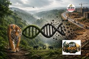 Wildlife corridors genetic diversity