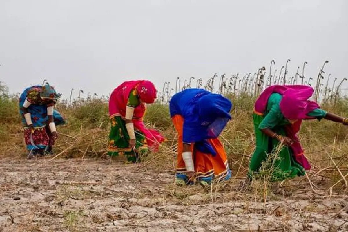 WomenFarmers