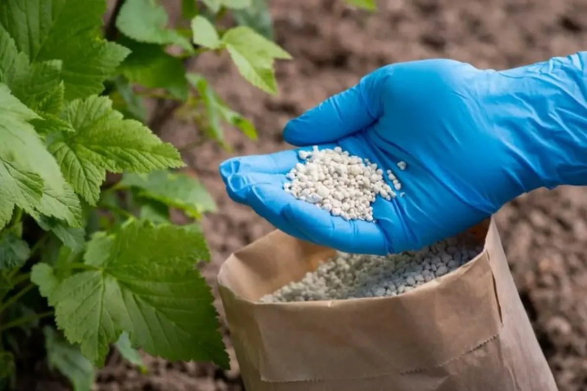 Ladakh Chemical Fertilizer Ban