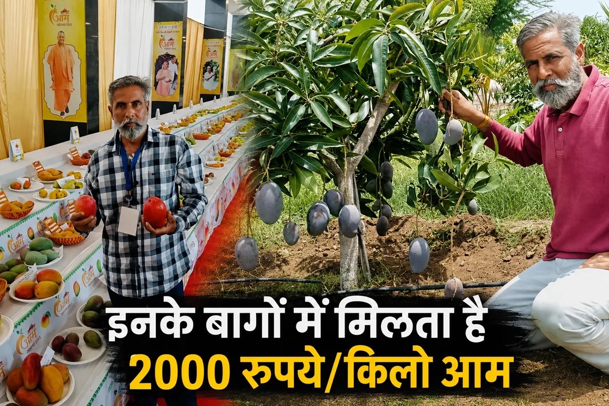 National Mango Day 2026 Yuvraj Singh Rathore