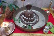 sawan 2026 parthiv shivling puja benefits