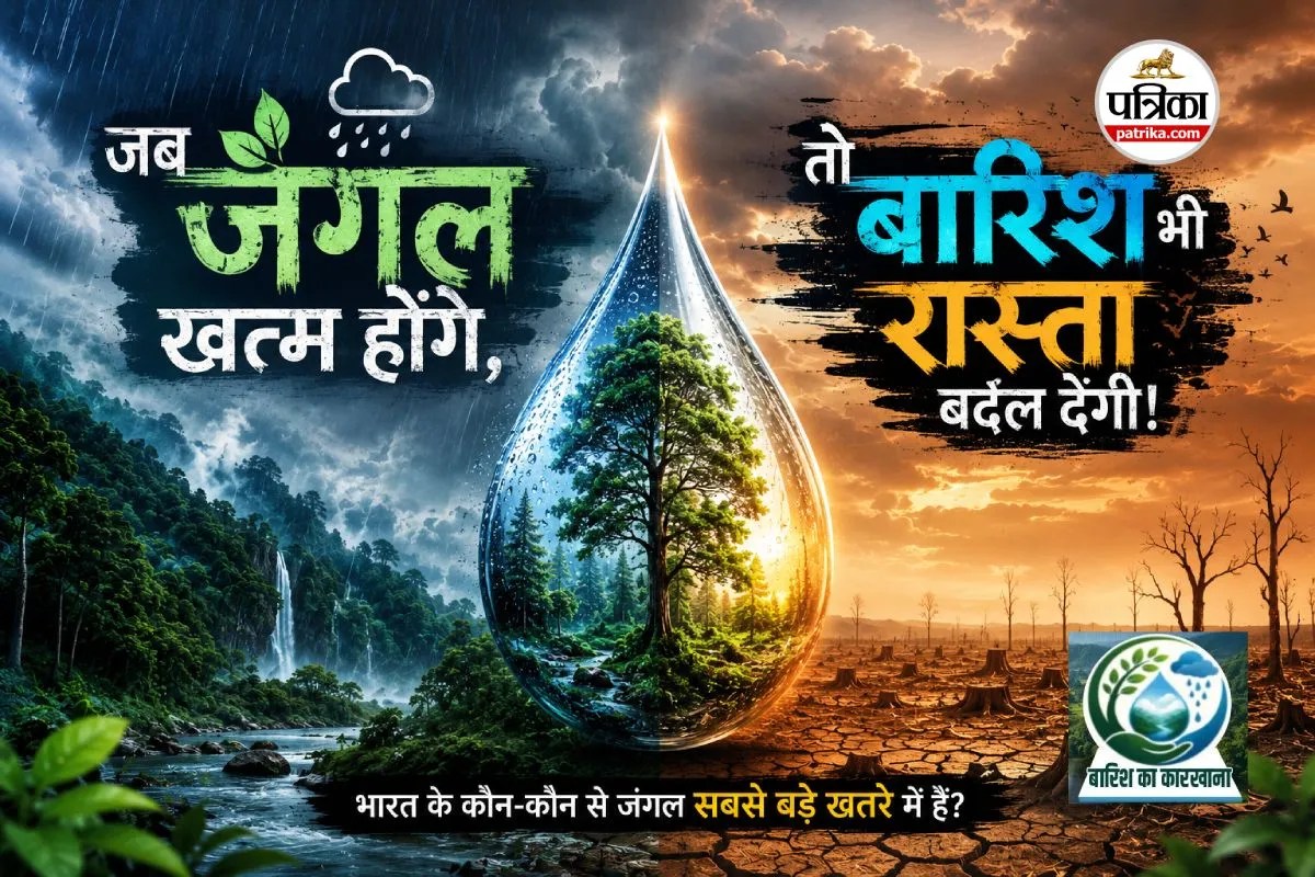 barish ka karkhana forest and rain connection
