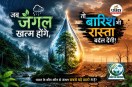barish ka karkhana forest and rain connection