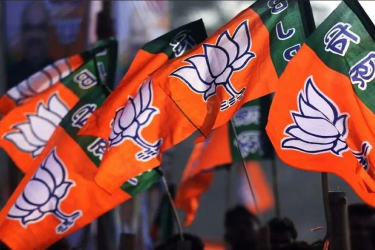 BJP flags