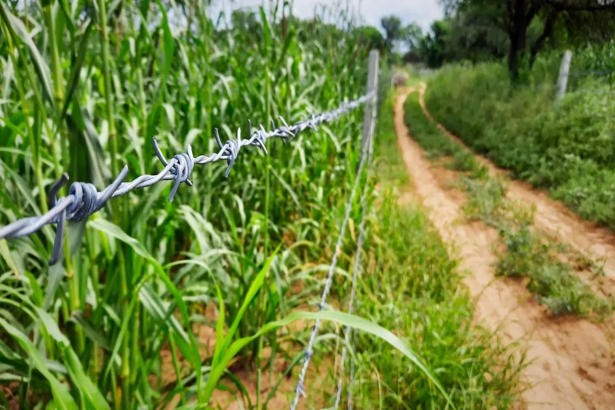 Electric Fence Death