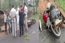 Road Accident