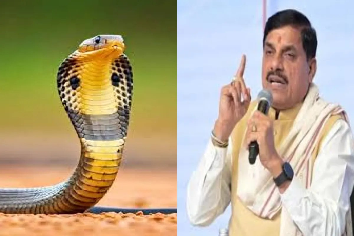 CM Mohan Yadav recounted a story about a cobra in Ujjain