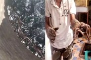 20 Cobra Rescue