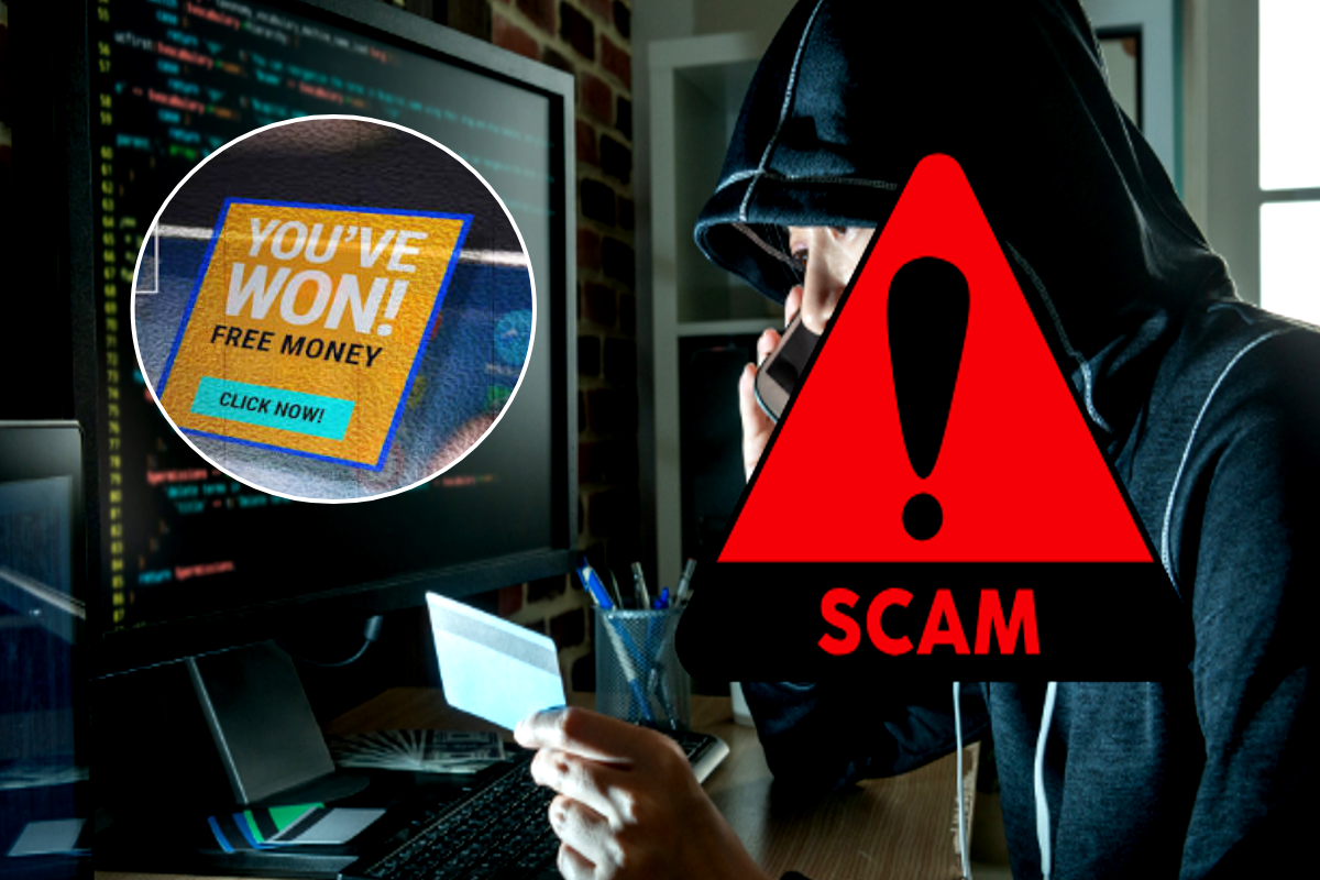 Cyber Fraud