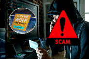 Cyber Fraud