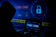 Cyber Fraud
