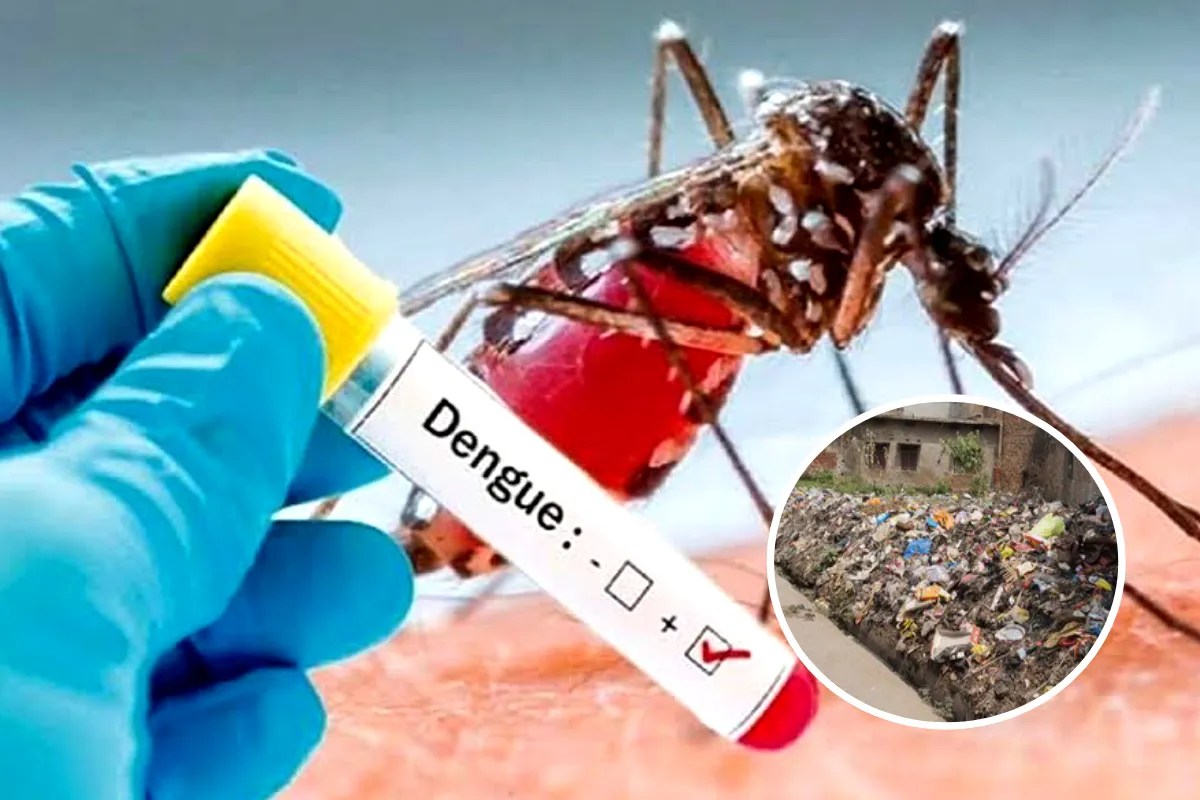Dengue Cases Bhopal