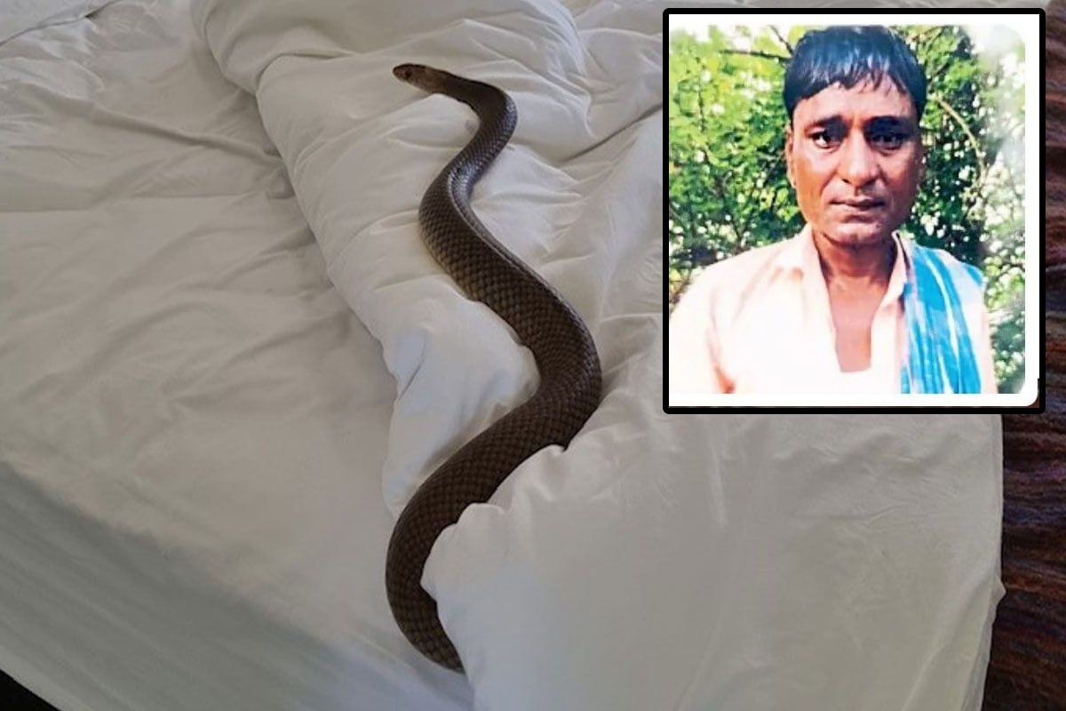 dewas Snakebite death case
