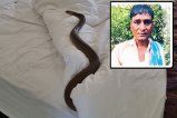 dewas Snakebite death case