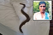 dewas Snakebite death case