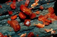 titanium-vanadium critical minerals discovery mining block auction