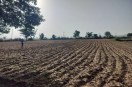 farming