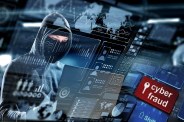 Cyber Fraud