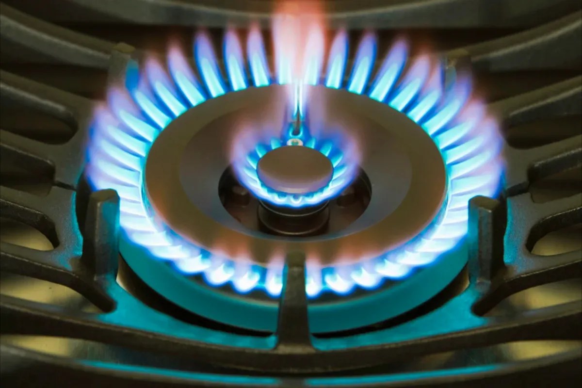 Gas stove