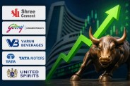Shree Cement Share Price