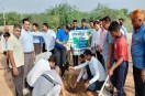 अल्पसंख्यक आवासीय विद्यालय में पौधरोपण करते जिला कलक्टर व अन्य