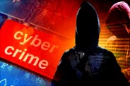 Cyber Fraud Cases