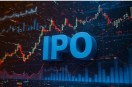 Dhoot Transmission IPO