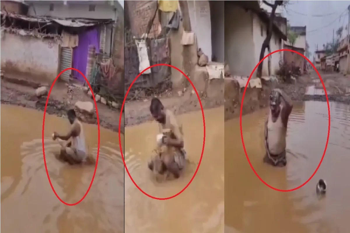 Chhattisgarh News, video viral, janjgir champa news