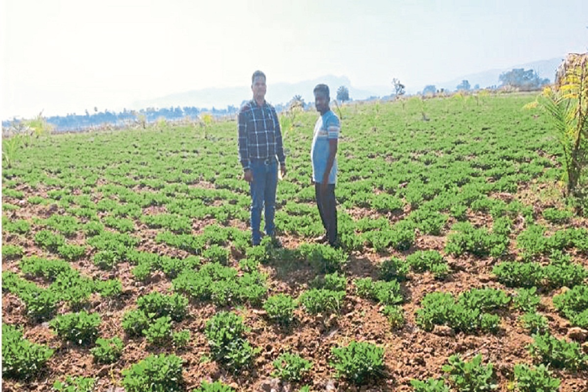 Chhattisgarh Agriculture