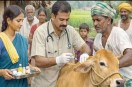 vaccination of animals