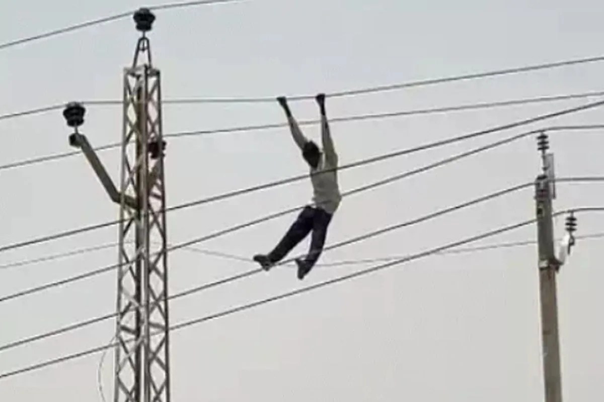 light wire and labour